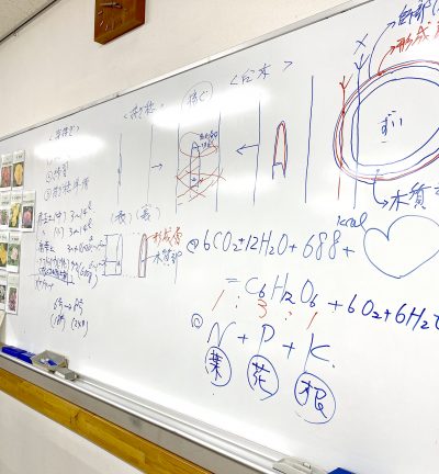ばらの栽培講習会（芽接ぎ）